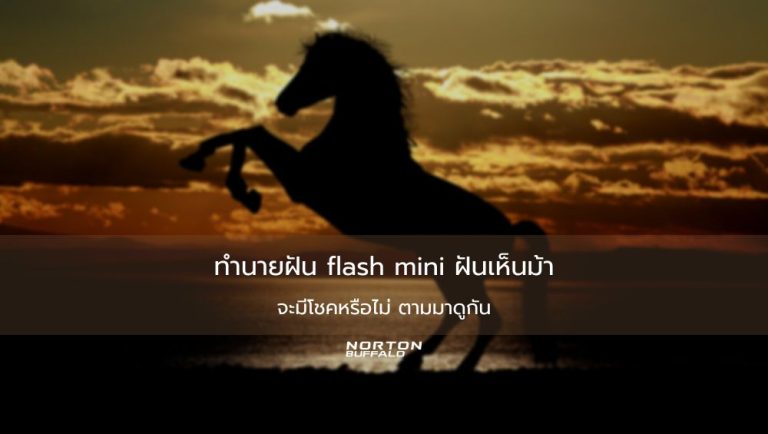ทำนายฝัน flash mini ฝันเห็นม้า จะมีโชคหรือไม่ ตามมาดูกัน